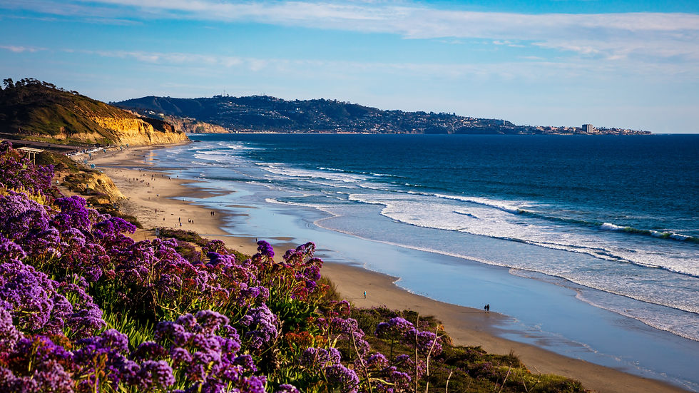 San Diego, California Oceanview image